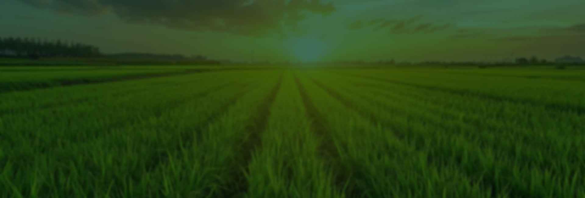 Green Force Food